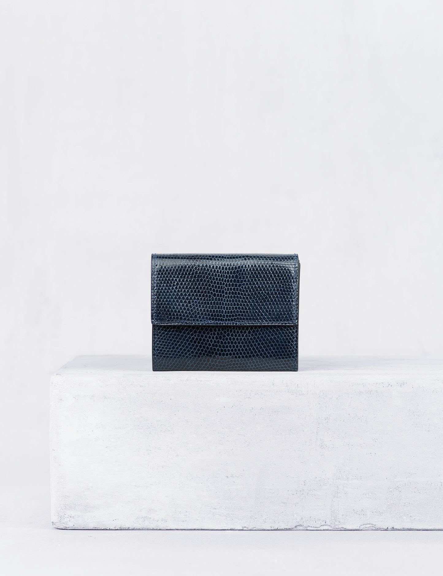 21.02 コインケース リザード マリーン