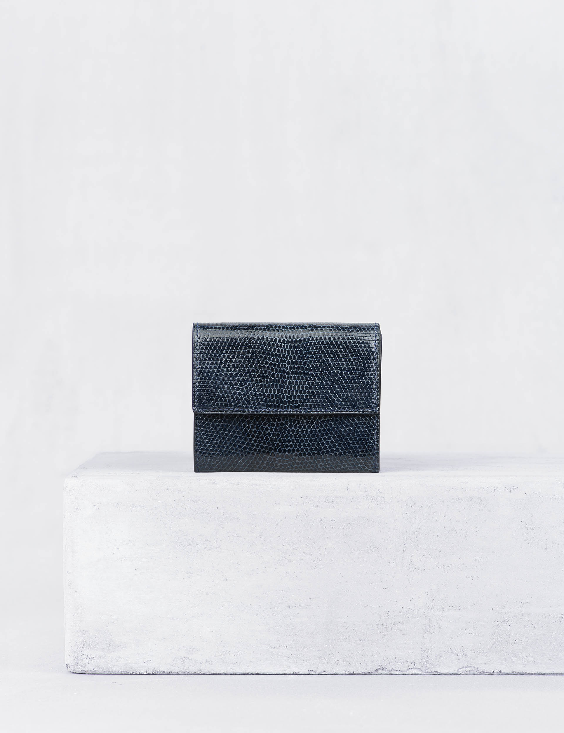 21.02 コインケース リザード マリーン