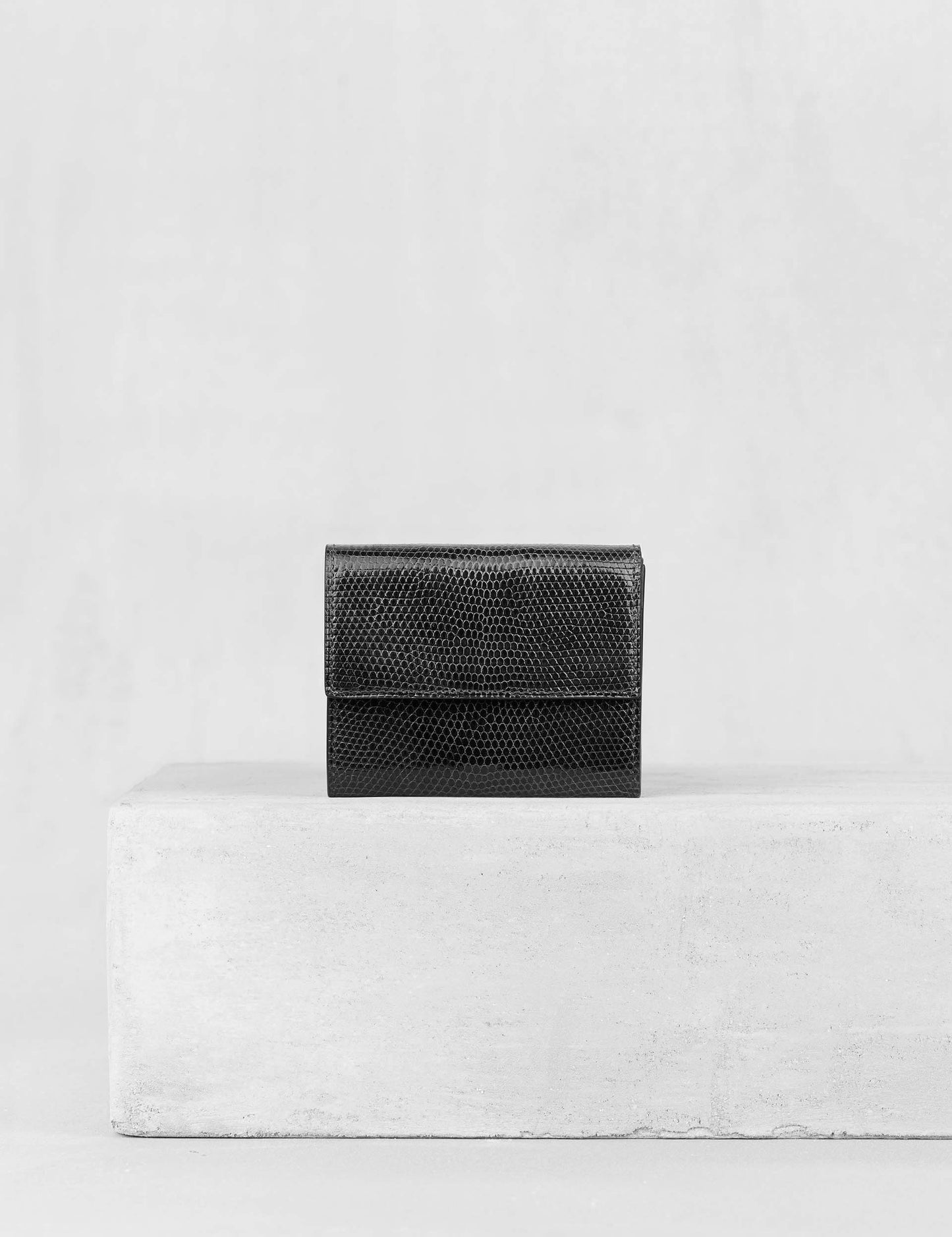 21.02 コインケース リザード ブラック